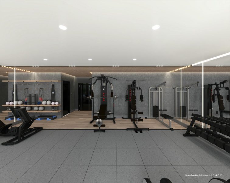 Fitness Studio 1 High